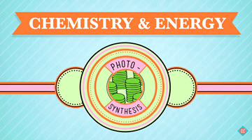 Photosynthesis - Biology Crash Course